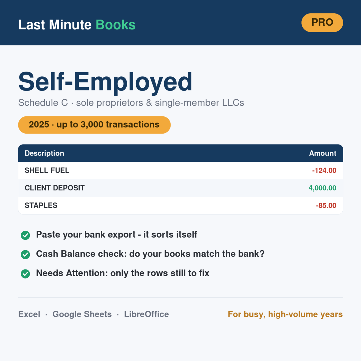 Self-Employed 2025 Pro bookkeeping spreadsheet - Schedule C, sole proprietors and single-member LLCs, holds up to 3,000 transactions